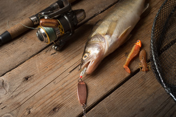 zander and lure