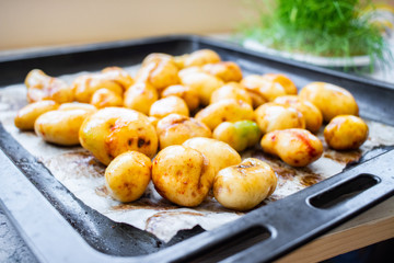 Preparing young potato with spices and herbs to be roasted, baked or grilled on a tray. Vegan food.