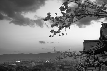 【セピア】清水寺の本堂とサクラと京都タワー