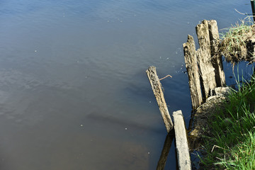 eau environnement etang lac vert nature paysage