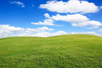 Green grass field and blue sky with clouds