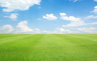 Foto op Plexiglas Green grass field and blue sky with clouds © saranyoo