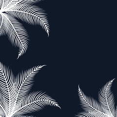 White palm leaves, feathers on a black background. In isolation.