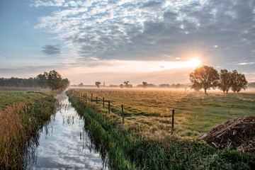 sunrise over the field