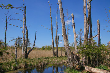Nature reserve 