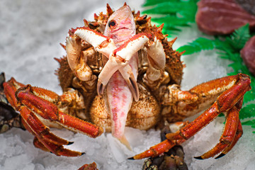 King crab grabbing a mullet
