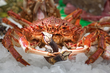 king crab and barnacles