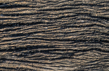 Texture of wood use as background.