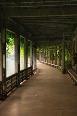 Walking path (footpath) by the water in West Lake gardens in Hangzhou, China