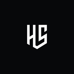 Professional Innovative Initial HS logo and SH logo. Letter SH HS Minimal elegant Monogram. Premium Business Artistic Alphabet symbol and sign