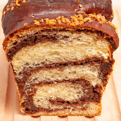 Section of a sponge cake with cocoa and walnuts