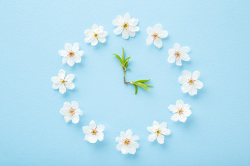 Flower clock created from beautiful, white cherry blossoms. Arrow from green leaves. Light blue...