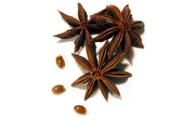 three star anise seeds next to three star anise seed pods, isolated on a white background