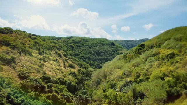 Drone Shot through a nice, green, tropical, untouched and overgrown litte valley in Bali.