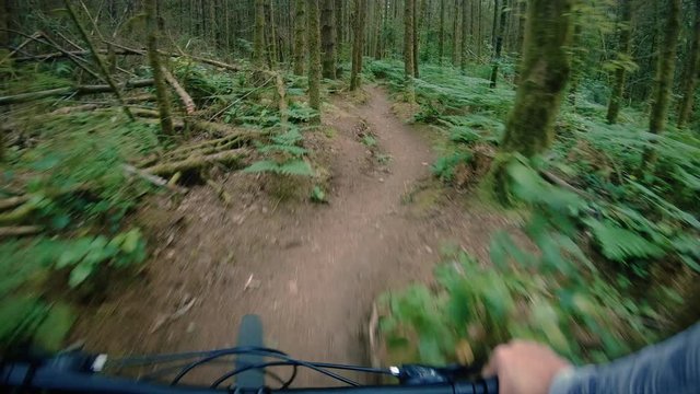 Unique Mossy Forest Mountain Bike Adventure from Behind Handle Bars