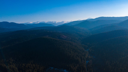 Carpathian mountains landscape pine forest needles aerial photography.