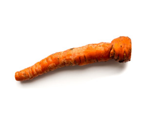 The Carrot.