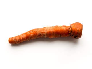 The Carrot.