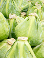 Cabbage background.