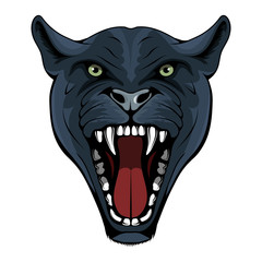 Panther, leopard, cougar, jaguar. Panther with angry face expression. Panther head mascot logo. Snow Leopard Mascot Color Logo. Jaguar Tattoo. Angry animal sports mascot. Growling cougar. Wild cats