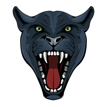 Panther, leopard, cougar, jaguar. Panther with angry face expression. Panther head mascot logo. Snow Leopard Mascot Color Logo. Jaguar Tattoo. Angry animal sports mascot. Growling cougar. Wild cats