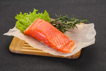Piece of raw salmon
