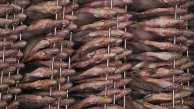 fish factory process. Fish cooked for drying at the fish factory. Processing and drying at the fish factory.