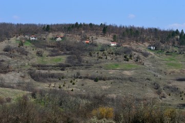 mountain village landscape in the spring