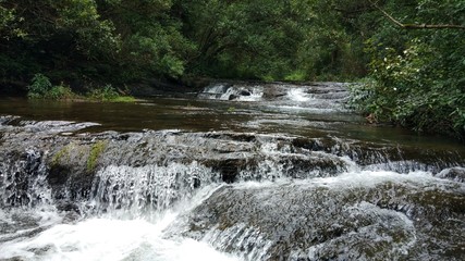 river in the forest