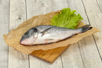 Raw Dorada fish  for cooking