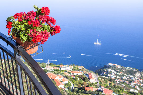 Flower pot on the viewpoint to the Amalfi coast, Italy