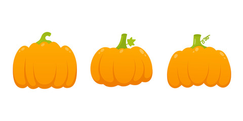 3 orange pumpkins set with leaf and gradient colors flat style design vector illustration isolated on white background. Autumn halloween, thanksgiving day pumpkin, vegetable graphic fresh and tasty.