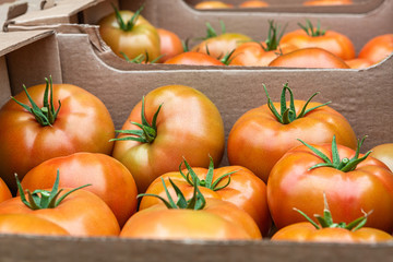 Large tomatoes are healthy vegetables in a box. Food background.