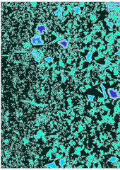 abstract background with water drops