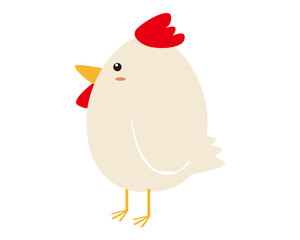 鶏　イラスト