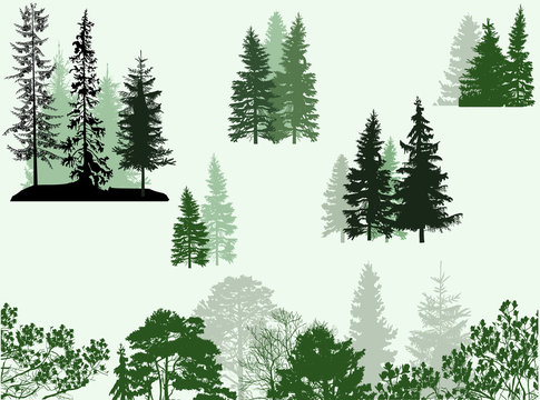 groups of trees isolated on light green background