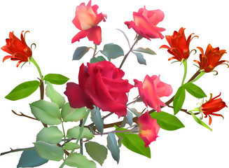 bunch of five roses and four red flowers isolated on white