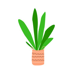 Home deciduous plant with green leaves in a decorative pot. Floriculture hobby. Stock vector simple flat illustration isolated on white background.