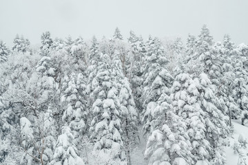 The ropeway is going up to the top of the mountain along the cable, weather conditions snow cover, Shin hotaka ropeway, Japan.