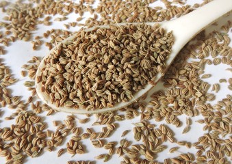 Spice -Ajwain or Bishop's weed. Scientific name - Trachyspermum ammi. Also known as carom, ajowan,...