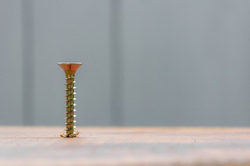 the metal screw crewed into the wooden board surface with screwdriver close-up. home or workshop repair concept