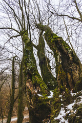 Photos of Budapest, Hungary and it's neighbourhood.