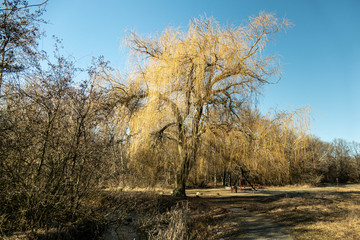 Photos of Budapest, Hungary and it's neighbourhood.