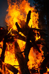 Russia, Republic of Karelia, Tunguda river, big bonfire