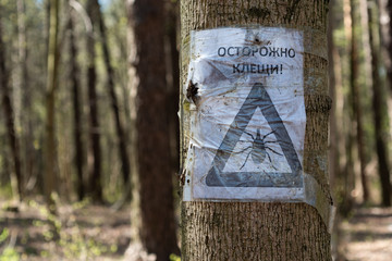 An old poster in the woods warning of ticks. Translation: 
