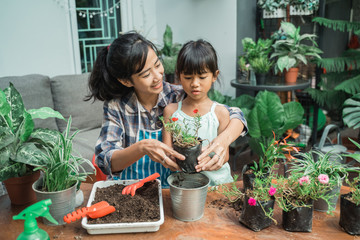 kid learng how to do gardening planting some plants at home with mother
