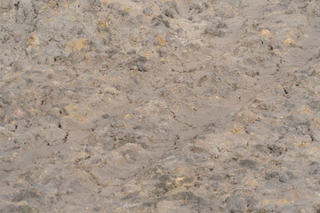 Soil fertile ground surface. Close up of natural pattern texture background. Top view of organic...