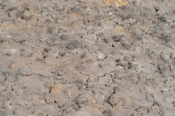 Soil fertile ground surface. Close up of natural pattern texture background. Top view of organic...