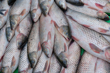 The rohu, rui, or roho labeo (Labeo rohita) is a species of fish popular in India for it's taste. displayed for sale at Territy Bazar, Kolkata, West Bengal, India..
