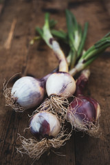 Tropea onion on wooden table. traditional Italian food product from the Calabria region